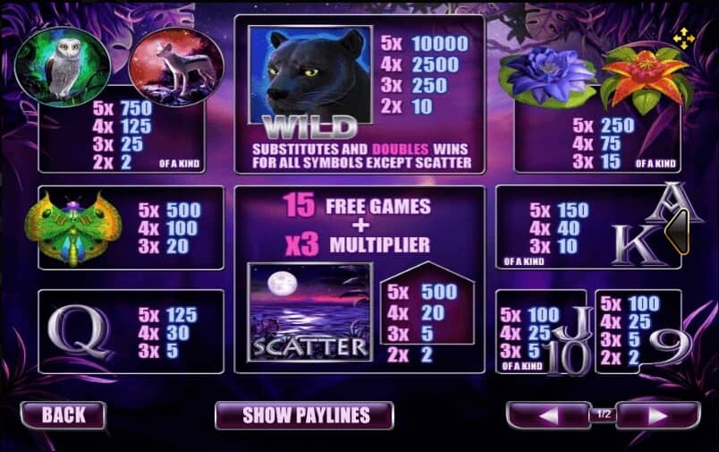 สัญลักษณ์ในเกม Panther Moon